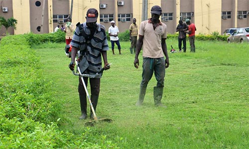 Practical Session at the Training/Workshop